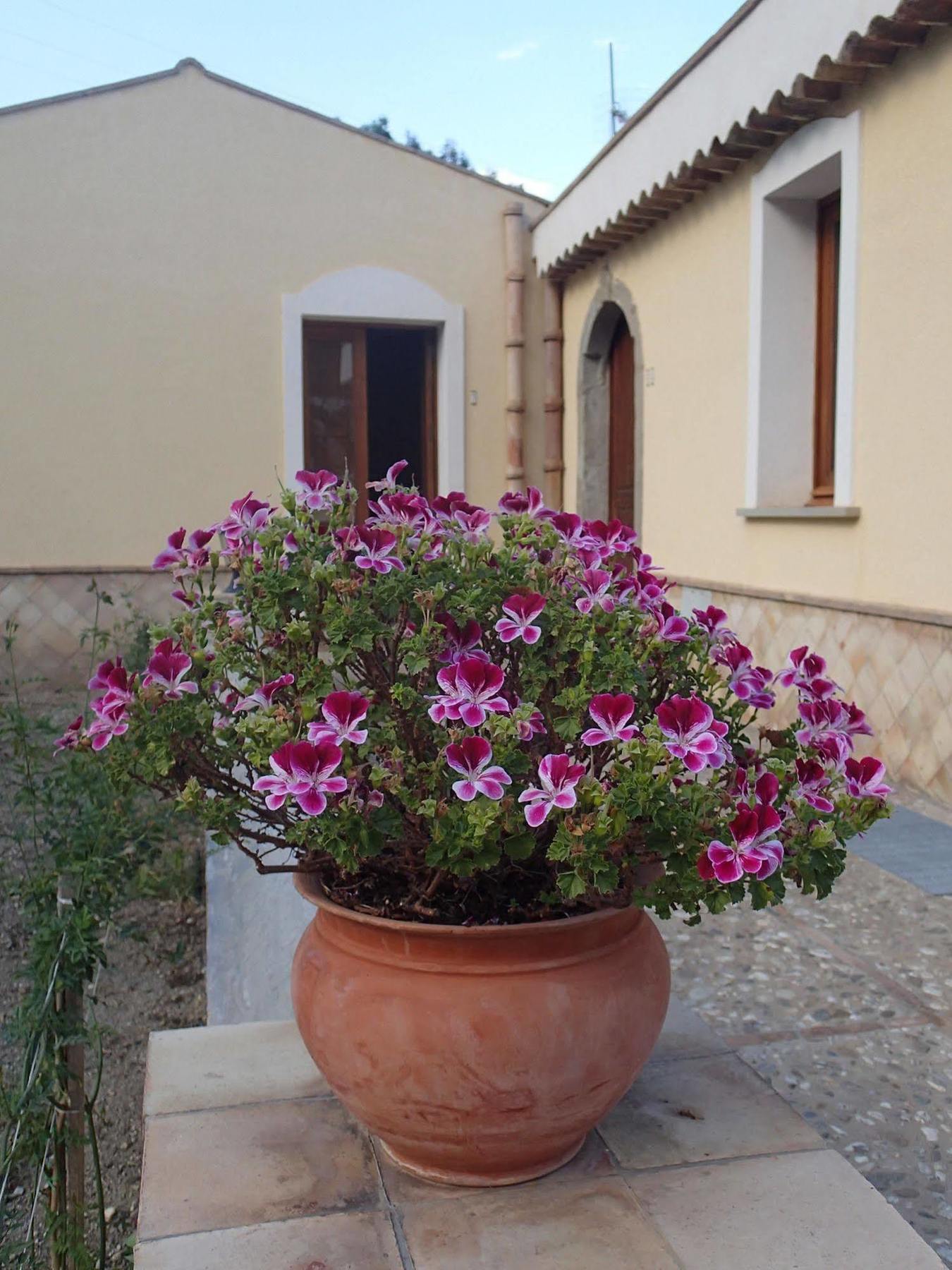 Pensjonat Patitiri Santa Teresa Di Riva Zewnętrze zdjęcie